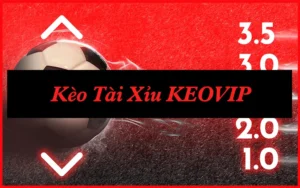 6 Mẹo Đọc Chuẩn Kèo Tài Xỉu Trước Giờ Bóng Lăn